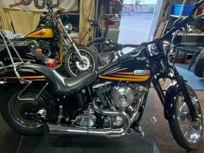 Harley-Davidson Muu malli