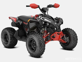 Can-Am renegade