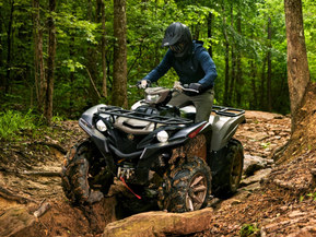 Yamaha Grizzly