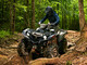 Yamaha Grizzly