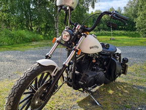 Harley-Davidson Sportster