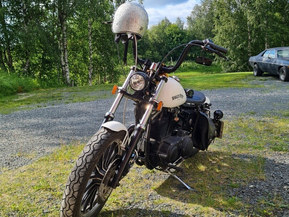 Harley-Davidson Sportster