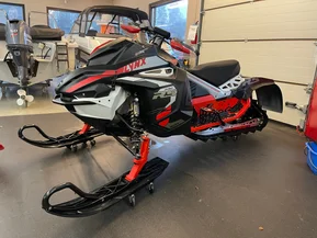 Lynx RS