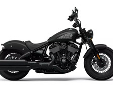 Indian Chief
