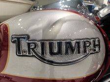 Triumph America