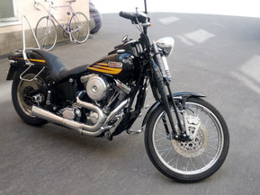 Harley-Davidson Muu malli