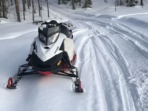 Ski-Doo MX Z