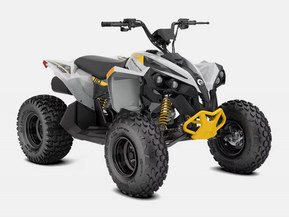Can-Am renegade