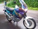 Honda XRV