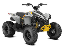 Can-Am renegade