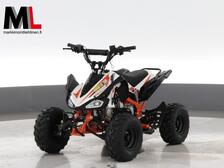 Fusion ATV