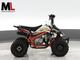 Fusion ATV