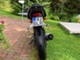 Yamaha MT-125