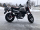 Honda Monkey