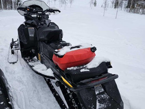 Ski-Doo Renegade