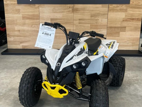Can-Am renegade