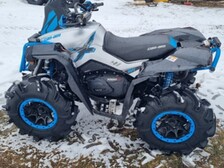 Can-Am renegade