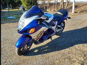 Suzuki GSX