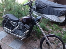 Harley-Davidson Sportster