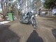 Harley-Davidson Sportster
