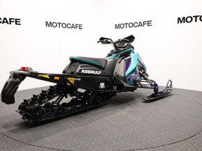 Polaris SwitchBack