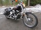 Harley-Davidson Softail