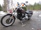 Harley-Davidson Softail