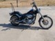 Harley-Davidson Softail