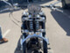 Harley-Davidson Softail
