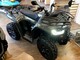 Segway Snarler