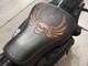 Harley-Davidson Sportster