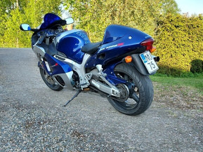 Suzuki GSX