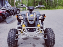 Can-Am DS