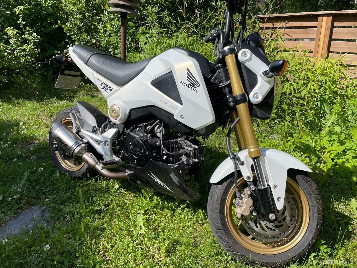 Honda MSX