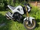 Honda MSX