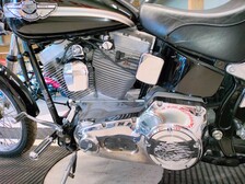 Harley-Davidson Softail