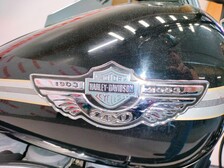 Harley-Davidson Softail