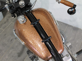 Harley-Davidson Sportster