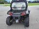 Polaris RZR