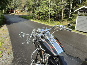 Harley-Davidson Softail