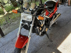 Yamaha FZX