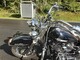 Harley-Davidson Softail