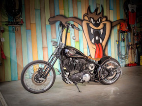 Harley-Davidson Sportster