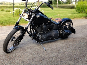 Harley-Davidson Softail