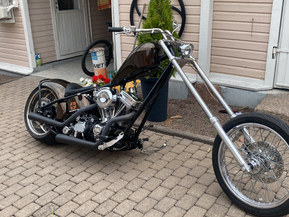 Harley-Davidson Muu malli