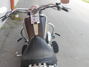 Harley-Davidson Softail