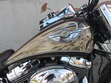 Harley-Davidson Softail