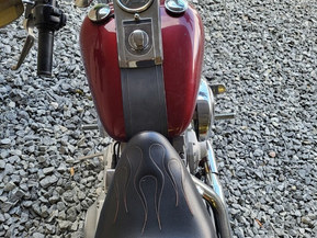 Harley-Davidson Softail