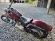 Harley-Davidson Softail
