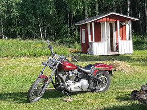 Harley-Davidson Softail